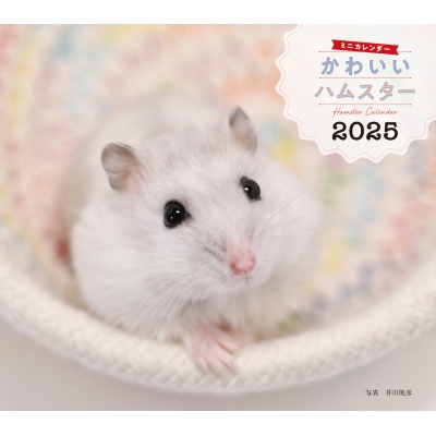 昭和レトロ　ヴィンテージ ハムスター　メーカー名不明　中古品 Yahoo!オークション - 昭和レトロ 当時物 レトロぬいぐるみ