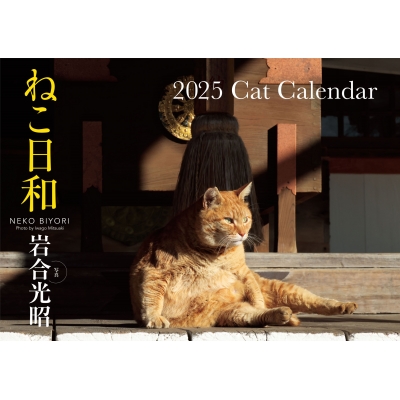ねこた 41W3eh7JsGL._UF350,350_QL80_.jpg