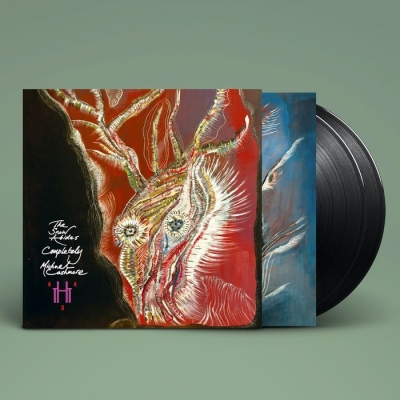 Snow Abides Completely