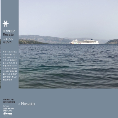 Mosaic (帯付/アナログレコード) : Fennesz | HMV&BOOKS online