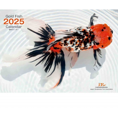 Gold Fish 金魚カレンダー 2025 (月めくり・壁掛け) : 日本観賞魚振興事業協同組合 | HMV&BOOKS online -  9784909701909