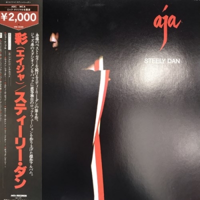 国内盤　STEELY DAN レコード　盤極美品 心斎橋】1/4(土)新着国内盤ロック 放出！|中古