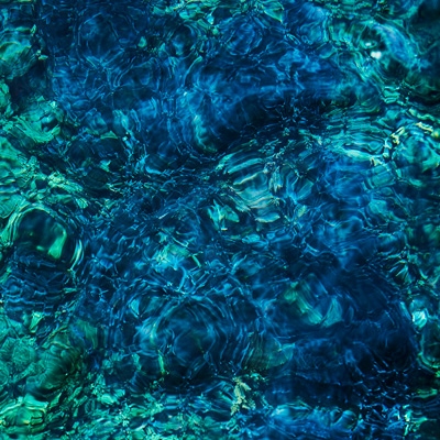 オマケ付 青葉市子luminescent creatures 限定盤 LP 75682f36133107298c26489aa36363