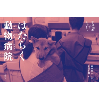 ͂炭a@ ʐ^G{͂炭