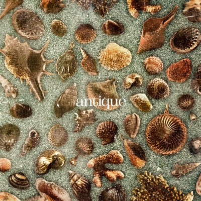 antique : おいしくるメロンパン | HMV&BOOKS online - MMZ-11024