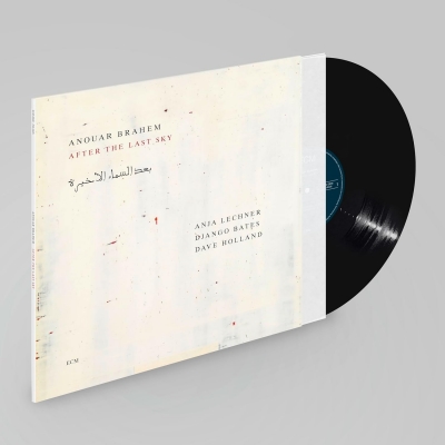 サンバースト 【限定盤】(2枚組アナログレコード) （2025年最新