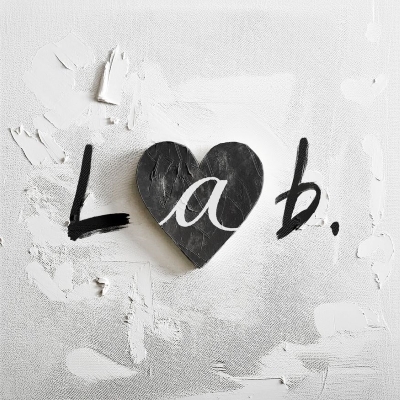 Lab.(アナログレコード) : go!go!vanillas | HMV&BOOKS online