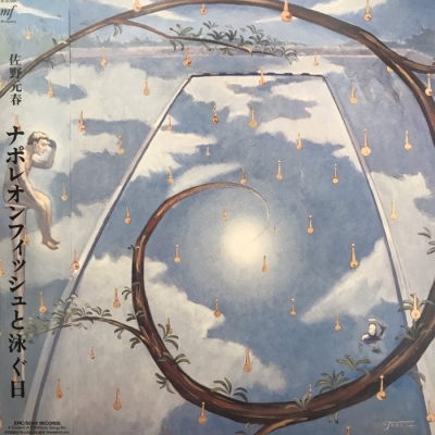 未使用品　レコード　佐野元春 ナポレオンフィッシュと泳ぐ日 mqdefault.jpg