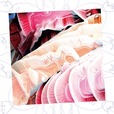 ν [NEU](ex.HeaRt)【完全限定盤】CD4枚セット！ V系 ν [NEU](ex.HeaRt)【完全限定盤】CD4枚セット！ V系