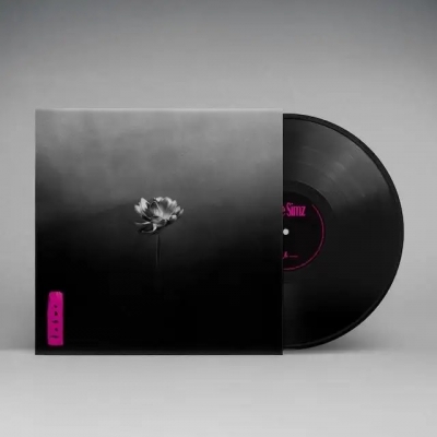 BEATINK.COM / Little Simz / フジロックフェスティバル'25追加