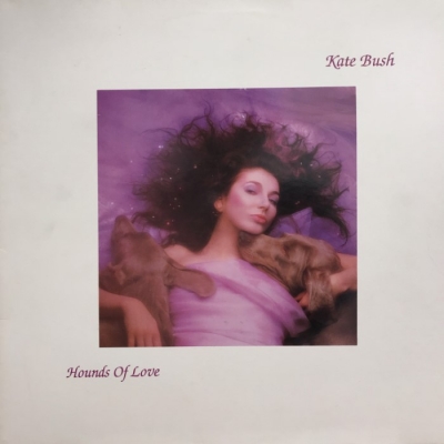 中古:盤質B】 Hounds Of Love : Kate Bush | HMV&BOOKS online - EJ2403841