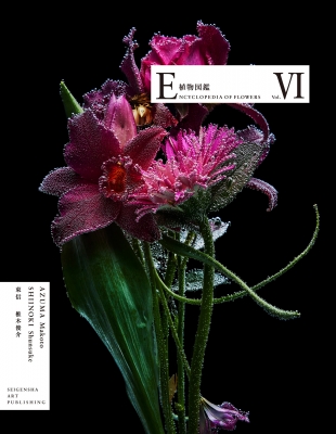 国産品 植物図鑑 VI FLOWERS OF ENCYCLOPEDIA : HMV&BOOKS | 東信 邦画・日本映画