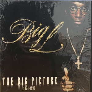 廃盤LP Big L The Big Picture 2枚組 レコード 廃盤LP Big L The Big Picture 2枚組 レコード Amazon.co.jp