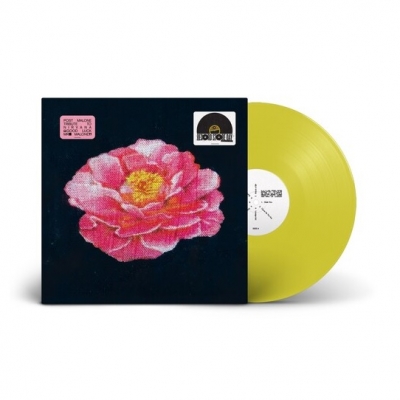 豊富な商品から HMV店舗在庫一覧] Post RECORD Nirvana【2025 To Tribute Malone Western Music