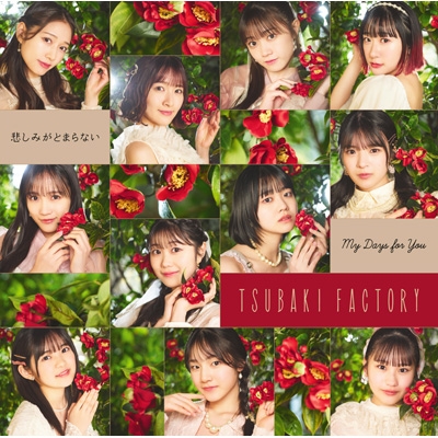 My Days for You/悲しみがとまらない【初回生産限定盤SP】(CD+