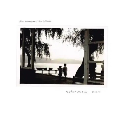 【限定品】 Magnificent Little (2枚組アナログレコード Vol.2 Dudes タイムセール