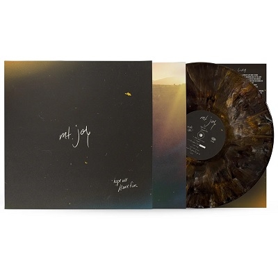 Hope We Have Fun (アナログレコード) : Mt. Joy | HMV&BOOKS online