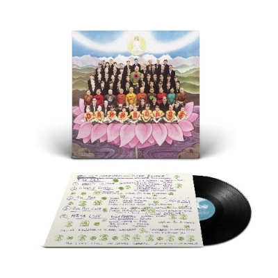 LP レコード アルバム ジョージ・ハリスン ダークホース Dark Horse (180グラム重量盤レコード) : George Harrison