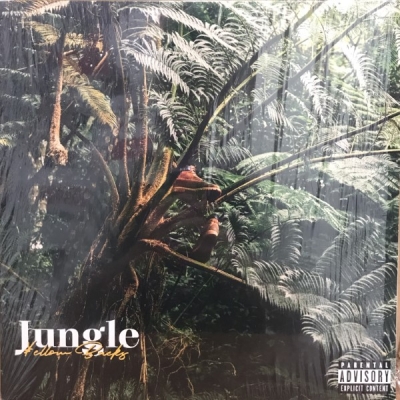 中古:盤質B】 Jungle : ￥ellow Bucks | HMV&BOOKS online - YB0002