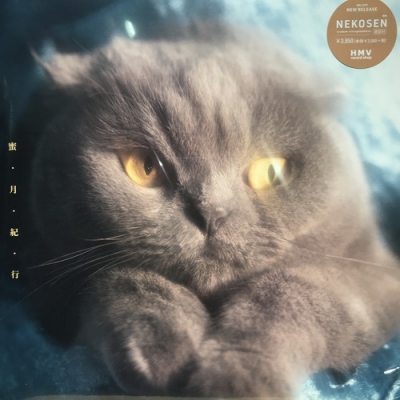 猫戦　蜜・月・紀・行　レコード 猫戦 レコード 蜜・月・紀・行(LP)