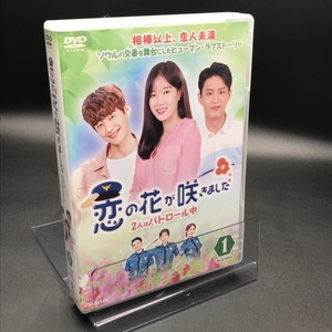 一途なタンポポちゃんDVD-BOX1（9枚組）