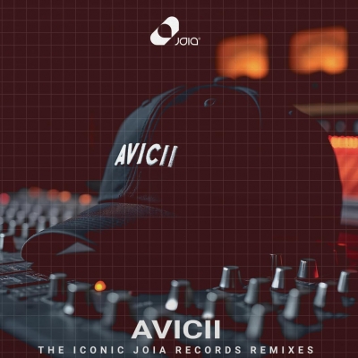 Avicii レコード　本　まとめ売り Avicii レコード本まとめ売り