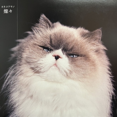 カネコアヤノ　レコード 中古:盤質B】 燦々(アナログレコード) : カネコアヤノ