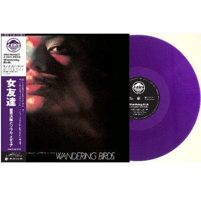 Cobain アナログ輸入版LP2枚組 旧規格盤多数！】プログレCDまとめて入荷👍 : ディスクユニオン
