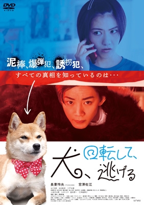 SHIMA / LIVE DVD!!～渋谷で犬かわいい!!～