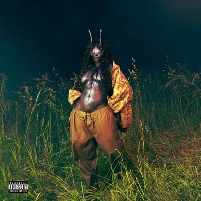 新品未開封 SZA SOS Lana シザ ラナ LPレコード SOS DELUXE: LANA (4LP) (GREEN VINYL)/SZA/シザ/SZA(シザ)の大