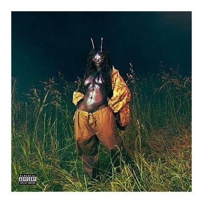 2discs Cassette SZA SOS Deluxe: LANA 19802892014 TOP DAWG ENTERTAINME 未開封 /00220 Sos Deluxe: Lana (2本組/カセットテープ) : SZA | HMV&BOOKS online