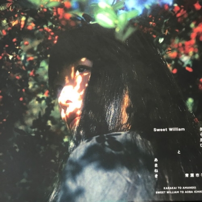 Sweet William 青葉市子　からかひ　あまねき　レコード Amazon.co.jp: からかひ と あまねき [Analog]: ミュージック