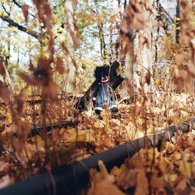 Billy Woods-Golliwog Alchemistの直筆サイン入り Billy Woods-Golliwog Alchemistの直筆サイン入り - メルカリ