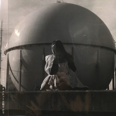 カネコアヤノ タオルケットは穏やかな レコード LP アナログ アナログ盤 アルバム『タオルケットは穏やかな』 LP盤のお取扱店舗・予約