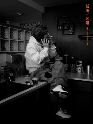1109 (初回限定盤A) [CD] 琥珀／図鑑【初回限定盤A】(CD+DVD) : SEKAI NO OWARI