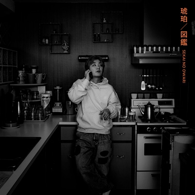 琥珀／図鑑【通常盤A】 : SEKAI NO OWARI | HMV&BOOKS online
