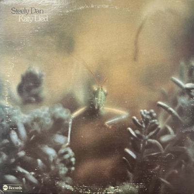 スティーリー•ダン Katy Lied アナログ国内盤 中古:盤質B】 Katy Lied : Steely Dan | HMV&BOOKS online - ABCD846