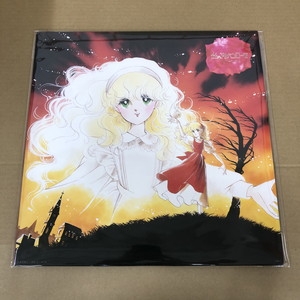 ◆DVD炎のアルペンローゼvol5 71YMdMe0uVL._UF1000,1000_QL80_.jpg