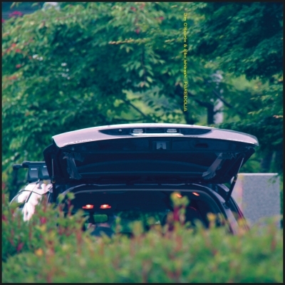 石橋英子+ jim o'rourke W+W 限定100部 CDR Pareidolia (アナログレコード) : Eiko Ishibashi / Jim O'rourke