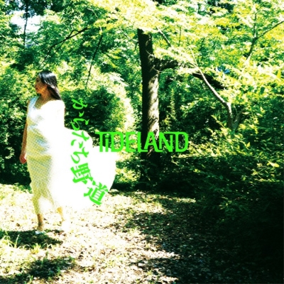 廃盤【REGGAE】AKANE／TREE OF HEART 7インチ　レコード 渋谷】8/6(土) REGGAE 7inch SALE|中古