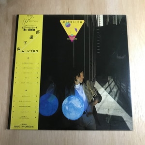 希少❗️美品❗️山下達郎　ムーングロウ MOONGLOW 【完全生産限定盤】(180グラム重量盤レコード) : 山下