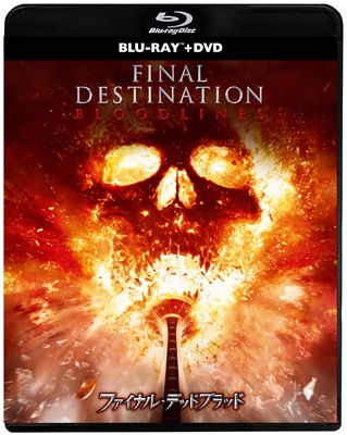 映画ファイナルファンタジー リミテッドコレクションパンフレット➕映画DVDセット 映画ファイナルファンタジー リミテッドコレクション