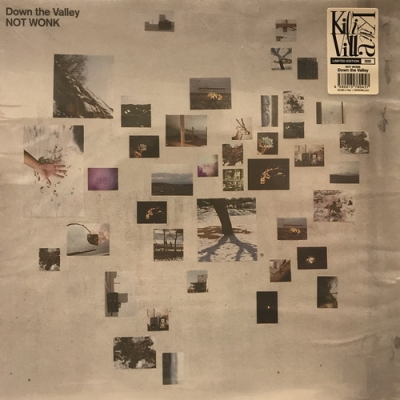 NOT WONK Down the Valley レコード 中古:盤質B】 Down the Valley 【限定300枚】(再プレス/アナログ
