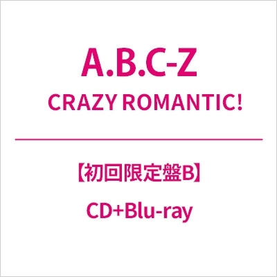 専用ページ　R&B 京セラ KYOCERA 電子ダブルアクション ポリッシャー 脱着式