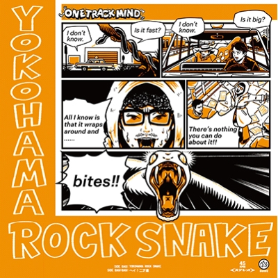激レア　レコード　非売品　モリッシー　7インチ Sing Your Life 湘南乃風 / Boogie Man & Silver King 7インチレコード - メルカリ