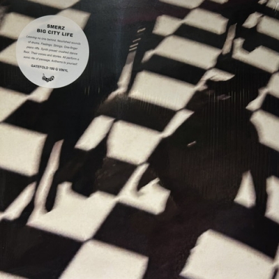 中古:盤質B 】 Big City Life : Smerz | HMV&BOOKS online - ESC203