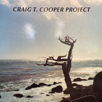 中古:盤質B】 Love Dues : Craig T Cooper | HMV&BOOKS online - D172947