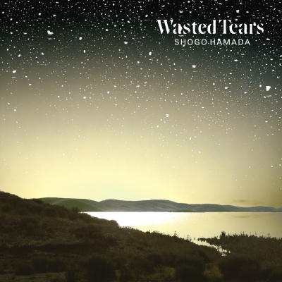 WASTED TEARS (アナログレコード) : 浜田省吾 | HMV&BOOKS online