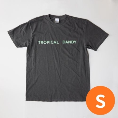細野晴臣 TROPICAL DANDY Tシャツ M 新品未使用 Sサイズ/ブラック】Tropical Dandy logo Tシャツ : 細野晴臣