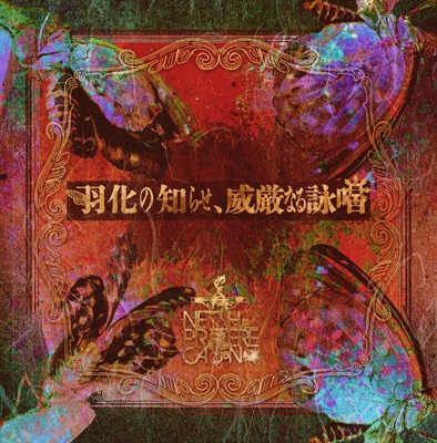 NETH PRIERE CAIN CD+DVDセット 羽化の知らせ、威厳なる詠唱 (CD+DVD) : NETH PRIERE CAIN | HMV&BOOKS